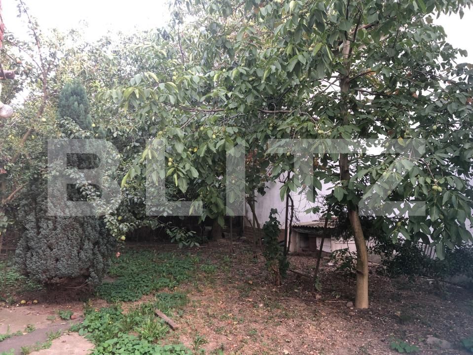 Casa de vânzare 3 camere 14 Mai - 202493CV | BLITZ Satu Mare | Poza13