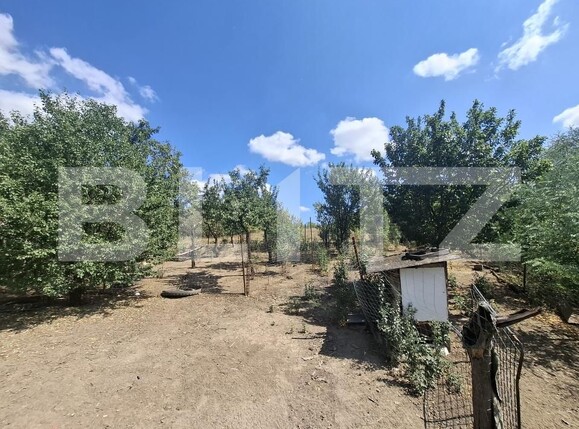 Casa de vânzare 3 camere Ardud - 202652CV | BLITZ Satu Mare | Poza14