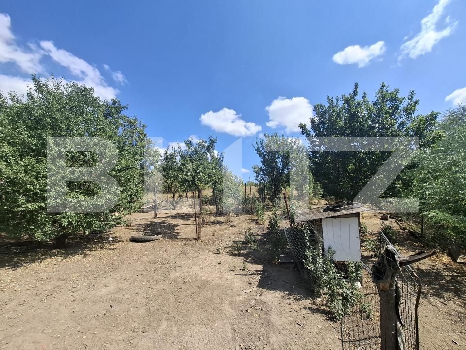 Casa de vânzare 3 camere Ardud - 202652CV | BLITZ Satu Mare | Poza14