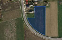 Teren de vânzare, 7012 mp, zona Balta Blondă 