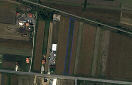 Teren extravilan de vanzare, 2000 mp, zona Careiului