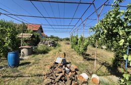 Teren extravilan de vanzare, 2000 mp, zona Careiului