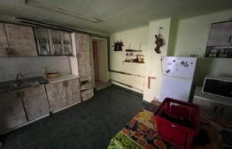 CASĂ P+M, 192 mp, zona Careiului