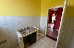 CASĂ P+M, 192 mp, zona Careiului