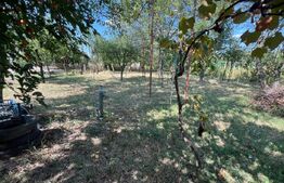 CASĂ P+M, 192 mp, zona Careiului