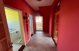 CASĂ P+M, 192 mp, zona Careiului