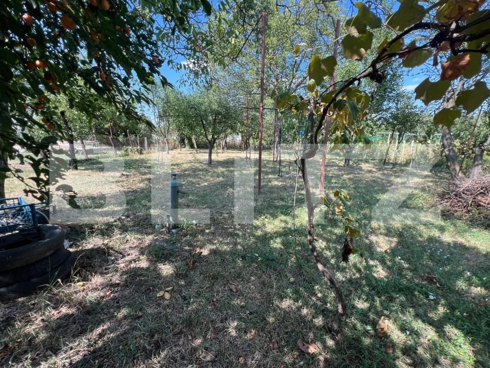 Casa de vânzare 6 camere Careiului - 202921CV | BLITZ Satu Mare | Poza20