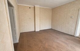 Apartament cu 2 camere 69 mp, teren 825 mp, pe Strada Aurel Vlaicu