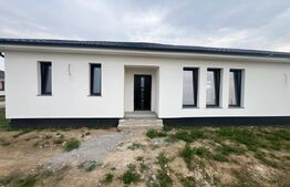 Case individuale, 123 mp, zona Odobescu