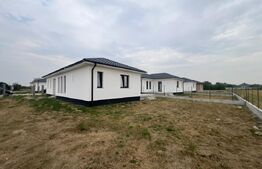 Case individuale, 123 mp, zona Odobescu
