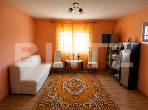 Casa de vânzare 1 camera Domanesti - 203387CV | BLITZ Satu Mare | Poza1