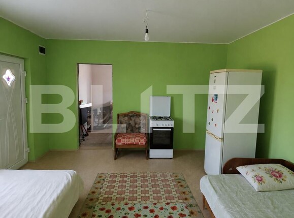 Casa de vânzare 1 camera Domanesti - 203387CV | BLITZ Satu Mare | Poza2