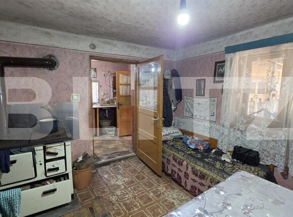 Casa de vânzare 4 camere Sătmărel - 203525CV | BLITZ Satu Mare | Poza8