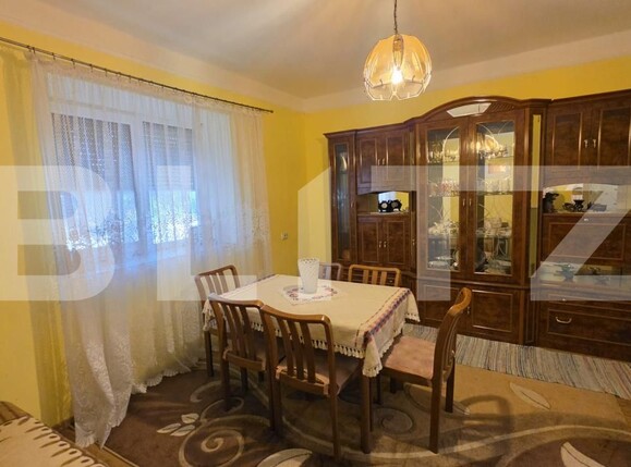 Casa de vânzare 4 camere Sătmărel - 203525CV | BLITZ Satu Mare | Poza6