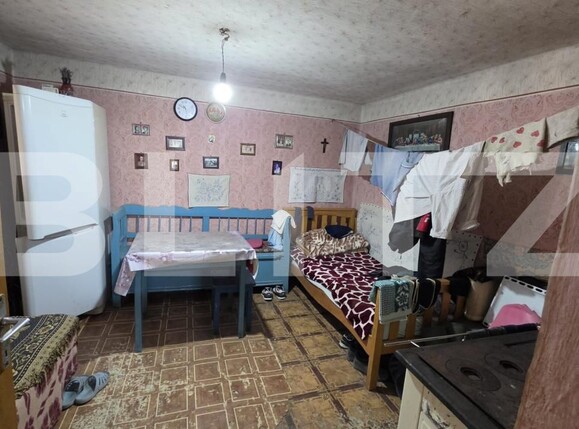 Casa de vânzare 4 camere Sătmărel - 203525CV | BLITZ Satu Mare | Poza2
