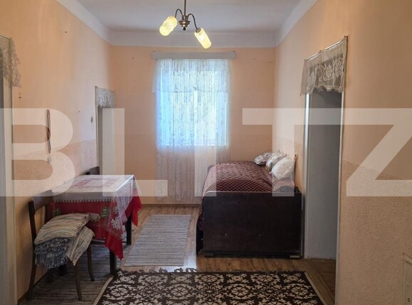 Casa de vânzare 4 camere Sătmărel - 203525CV | BLITZ Satu Mare | Poza5