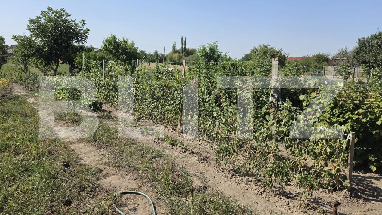 Casa de vânzare 4 camere Sătmărel - 203525CV | BLITZ Satu Mare | Poza9