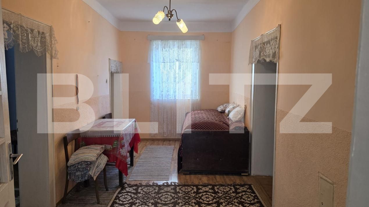 Casa de vânzare 4 camere Sătmărel - 203525CV | BLITZ Satu Mare | Poza5