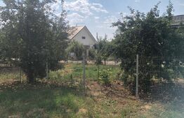 Teren de vânzare Boghis - 203142TV | BLITZ Satu Mare | Poza1
