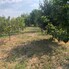 Teren de vânzare Lucian Blaga - 203632TV - Poza 1 din 8 | BLITZ Satu Mare | Poza1