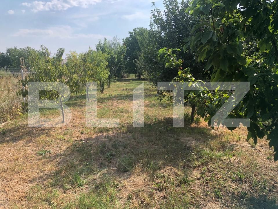 Teren de vânzare Lucian Blaga - 203632TV | BLITZ Satu Mare | Poza2