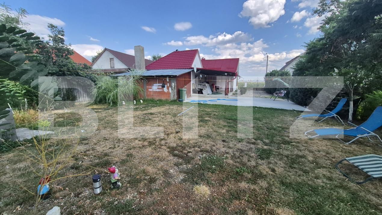 Casa de vânzare 4 camere Botiz - 203676CV | BLITZ Satu Mare | Poza18