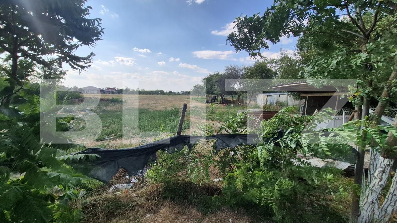 Casa de vânzare 4 camere Botiz - 203676CV | BLITZ Satu Mare | Poza16