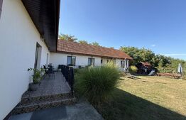 Pensiune cu 4 camere, teren 1590 mp, zona Lazuri