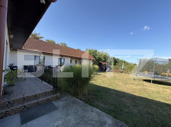 Spațiu comercial de vânzare Lazuri - 203793SVC | BLITZ Satu Mare | Poza14