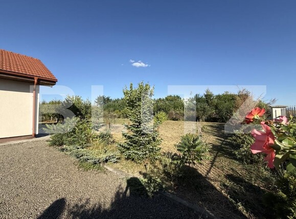 Spațiu comercial de vânzare Lazuri - 203793SVC | BLITZ Satu Mare | Poza16
