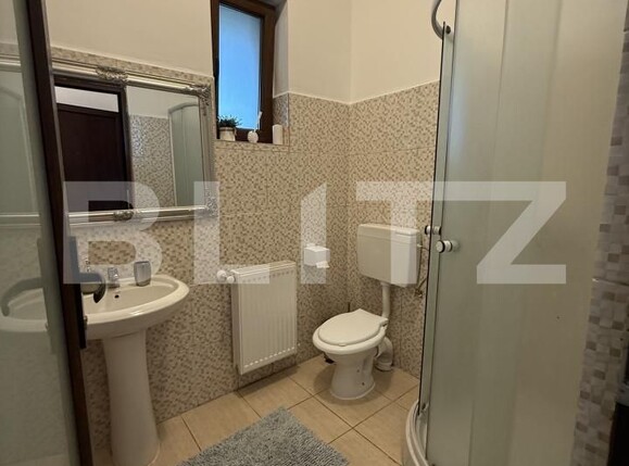 Spațiu comercial de vânzare Lazuri - 203793SVC | BLITZ Satu Mare | Poza13