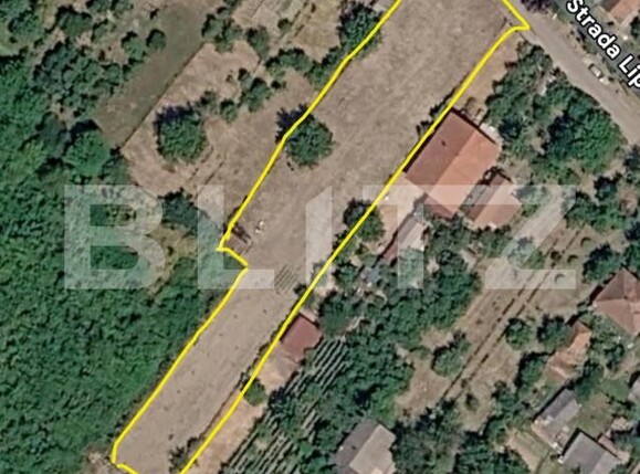 Teren de vânzare Viile Satu Mare - 203801TV | BLITZ Satu Mare | Poza1