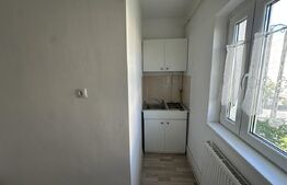 Apartament 1 cameră, 27 mp, renovat, balcon – Drumul Careiului