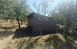 Casa 2 camere, teren 2200 mp, Homorodu de Mijloc