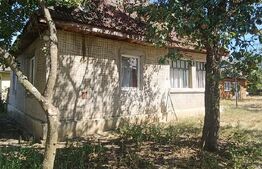 Casa 2 camere, teren 2200 mp, Homorodu de Mijloc