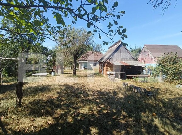 Casa de vânzare 2 camere Homorodu de Mijloc - 203876CV | BLITZ Satu Mare | Poza9