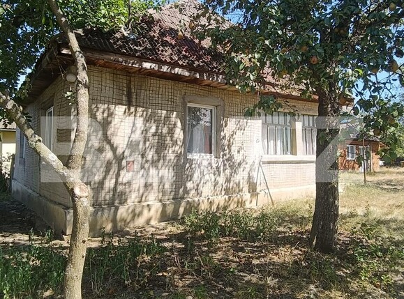 Casa de vânzare 2 camere Homorodu de Mijloc - 203876CV | BLITZ Satu Mare | Poza1