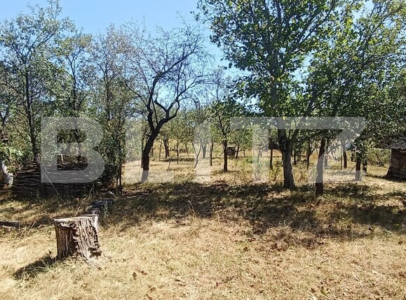 Casa de vânzare 2 camere Homorodu de Mijloc - 203876CV | BLITZ Satu Mare | Poza10