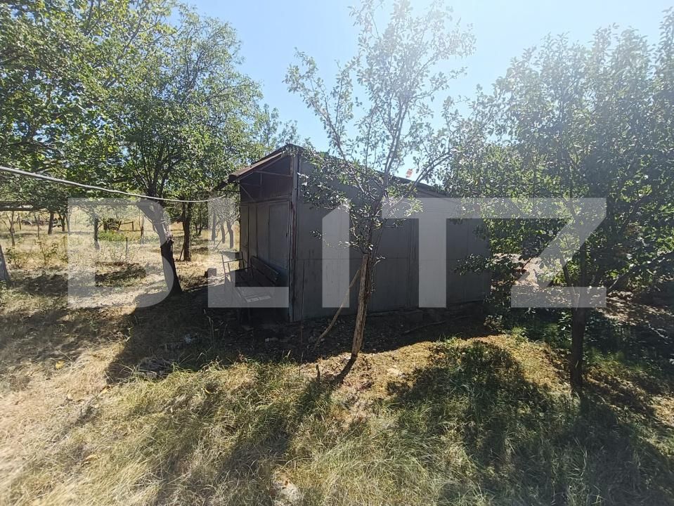 Casa de vânzare 2 camere Homorodu de Mijloc - 203876CV | BLITZ Satu Mare | Poza8
