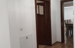 Casa cu 5 camere, suprafata utila 208 mp, loc. Halmeu