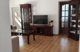 Casa cu 5 camere, suprafata utila 208 mp, loc. Halmeu