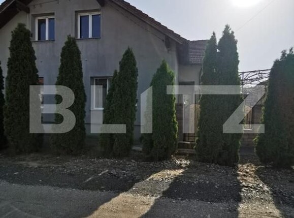 Casa de vânzare 5 camere Halmeu - 204032CV | BLITZ Satu Mare | Poza4