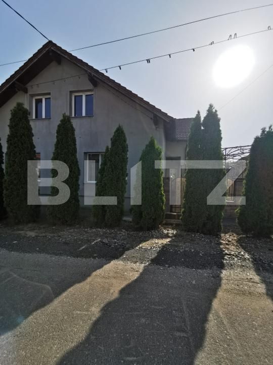 Casa de vânzare 5 camere Halmeu - 204032CV | BLITZ Satu Mare | Poza4