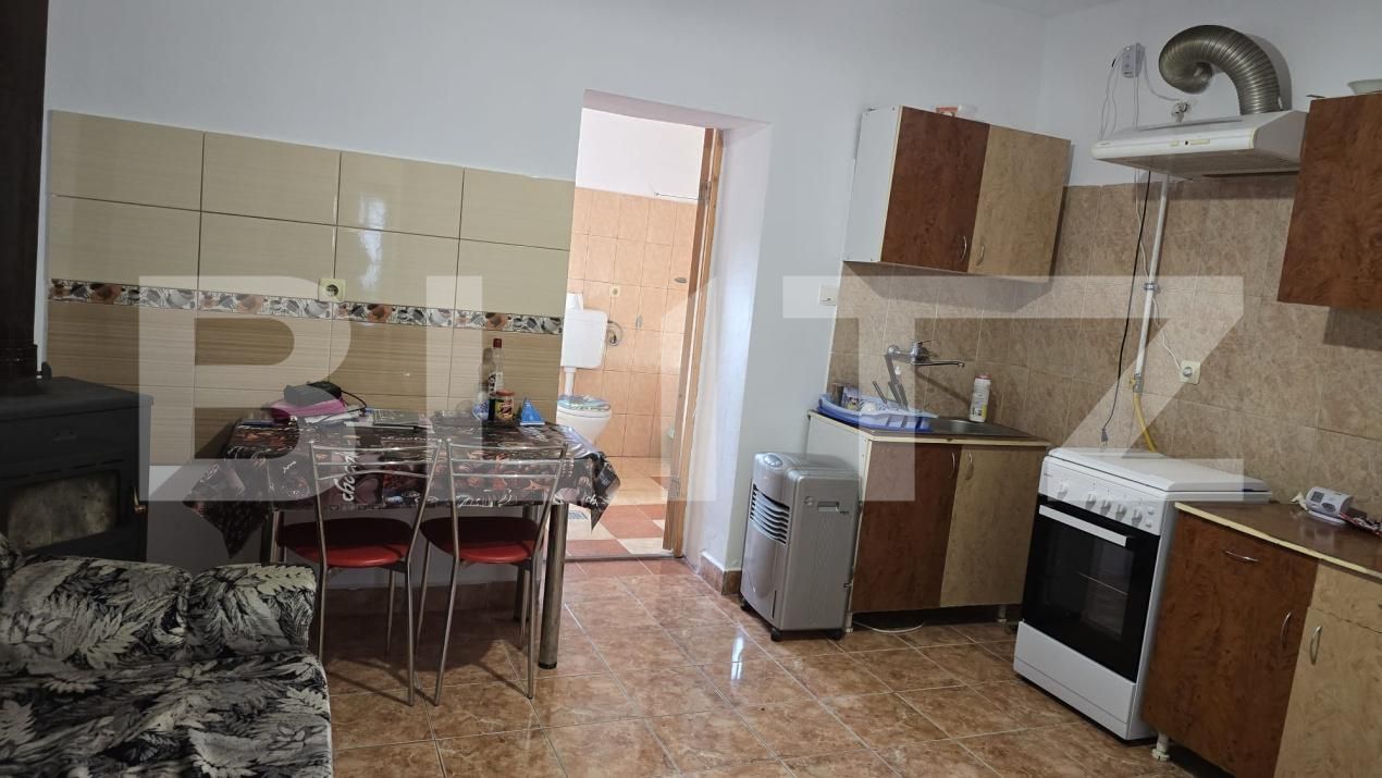 Casa de vânzare 2 camere Sud - 204099CV | BLITZ Satu Mare | Poza8