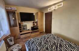 Apartament cu 2 camere de vanzare, 49,58 mp, zona Micro 16