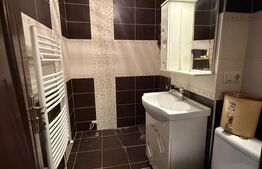 Apartament cu 2 camere, 56 mp, zona Careiului