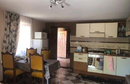 Doua case intr-o curte, teren 3700 mp, zona Supuru de Sus