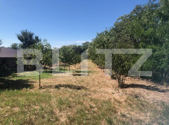 Casa de vânzare 2 camere Supuru de Sus - 204259CV | BLITZ Satu Mare | Poza10