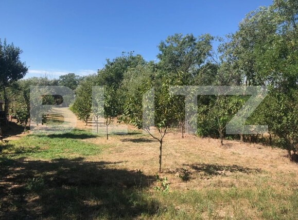 Casa de vânzare 2 camere Supuru de Sus - 204259CV | BLITZ Satu Mare | Poza11