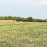Teren de vânzare Odoreu - 204441TV - Poza 1 din 1 | BLITZ Satu Mare | Poza1